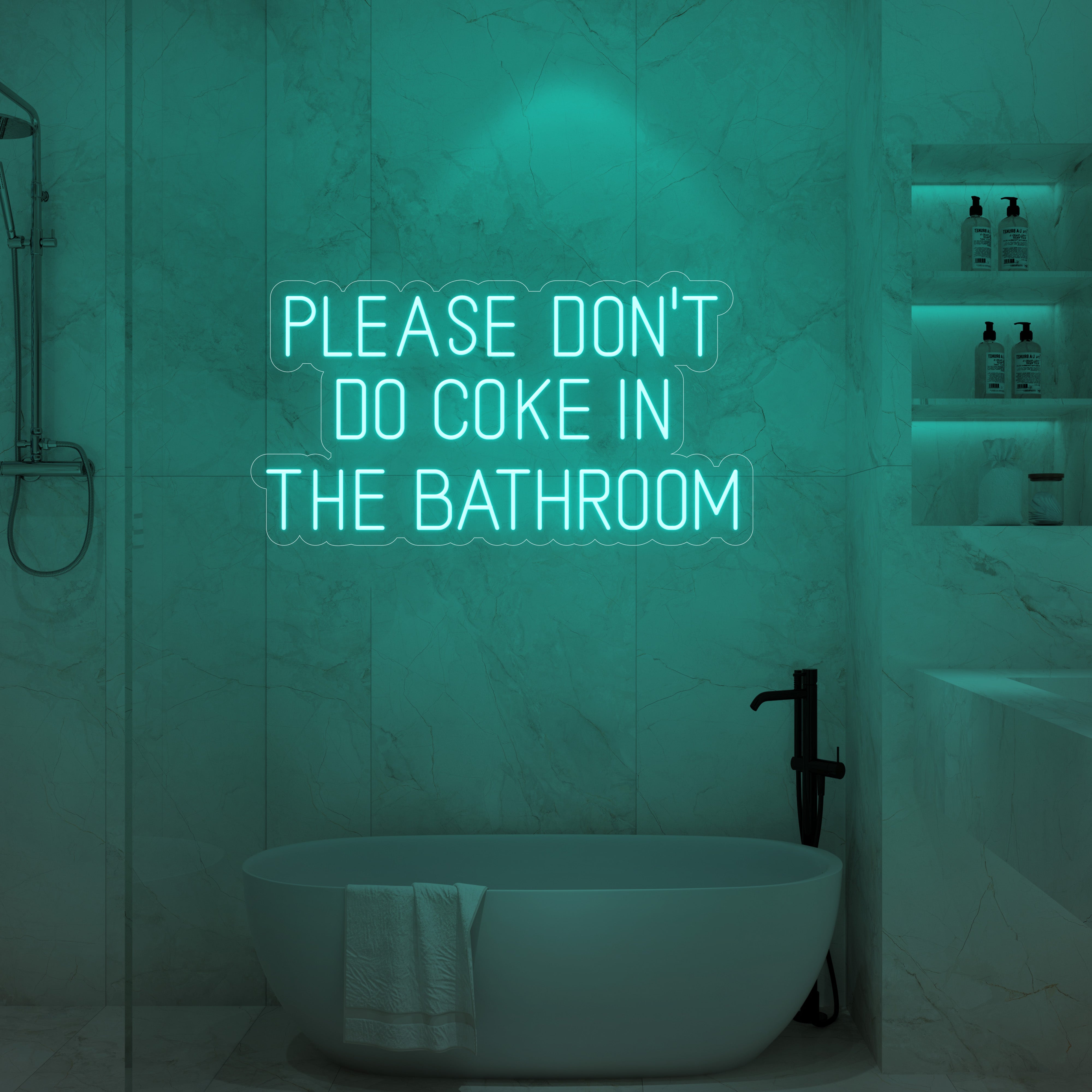 Please Don’t Do Coke in the Bathroom LED Neon Sign