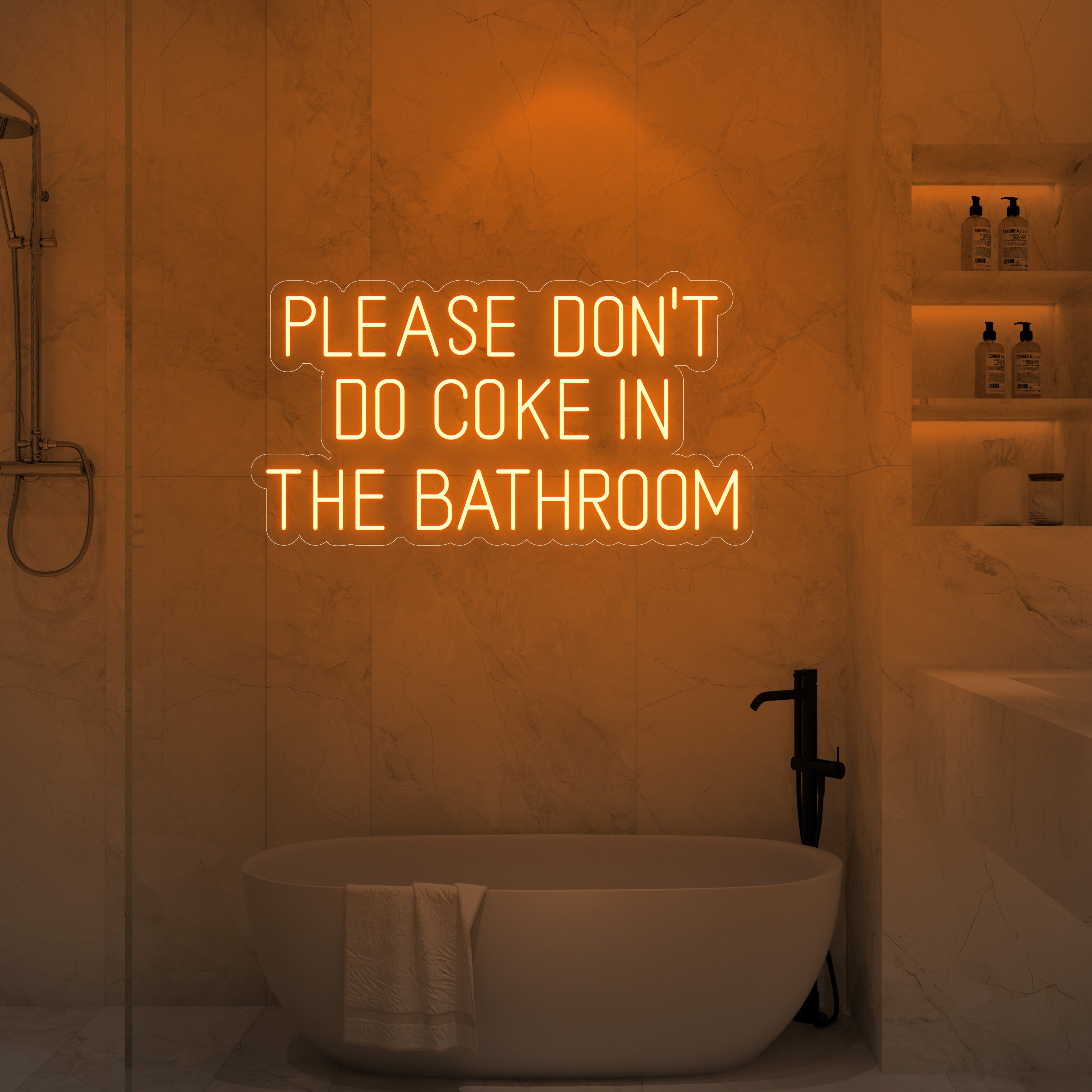 Please Don’t Do Coke in the Bathroom LED Neon Sign