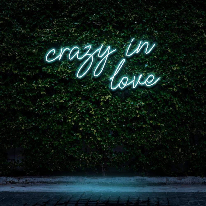 Crazy In Love LED Neon Sign