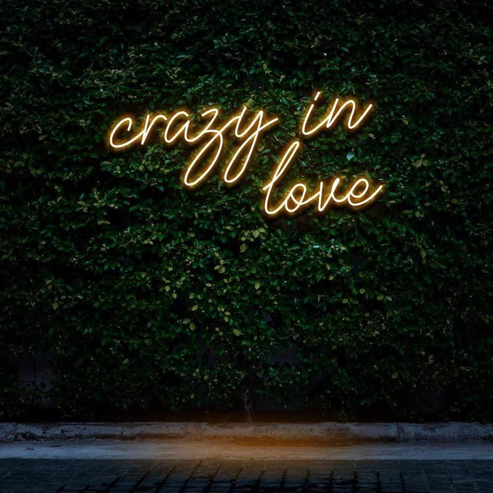 Crazy In Love LED Neon Sign