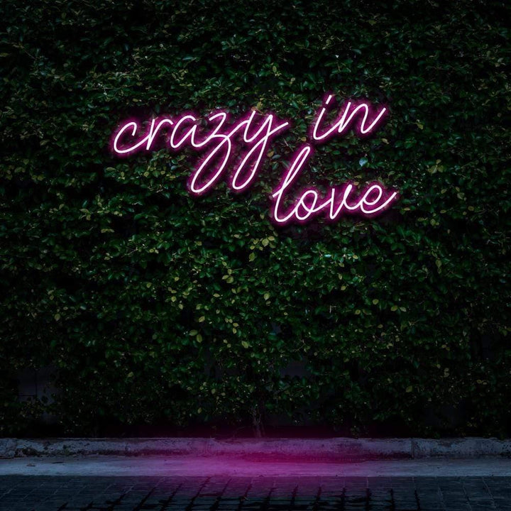 Crazy In Love LED Neon Sign