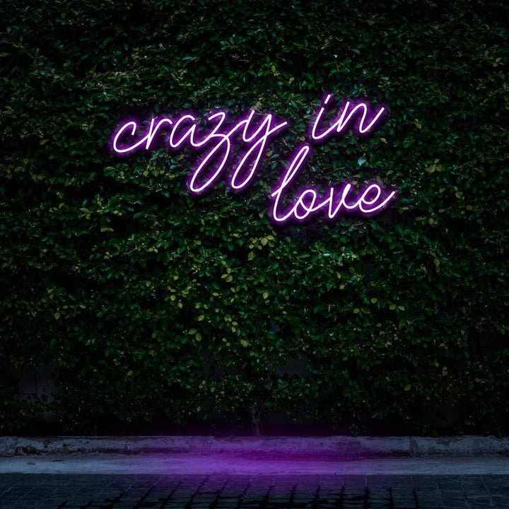 Crazy In Love LED Neon Sign